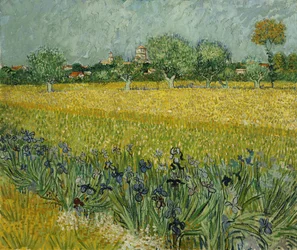 Field with Flowers near Arles